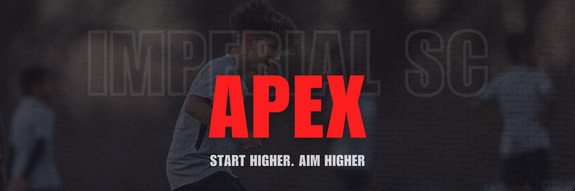 apex apex